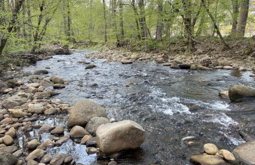 Sweet - 2 Bedrooms, 2 Baths, Sleeps 6 Cabin by RedAwning - Foto 9