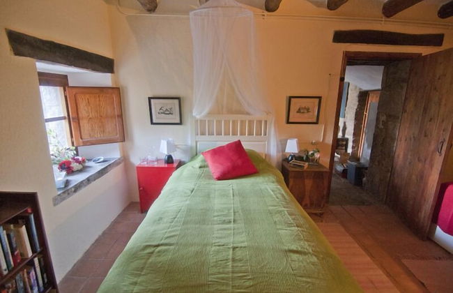 Celler Colltor - Photo 3