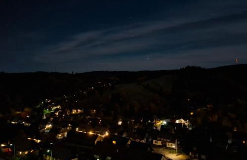 Feinwald Highline Altenau - Foto 2