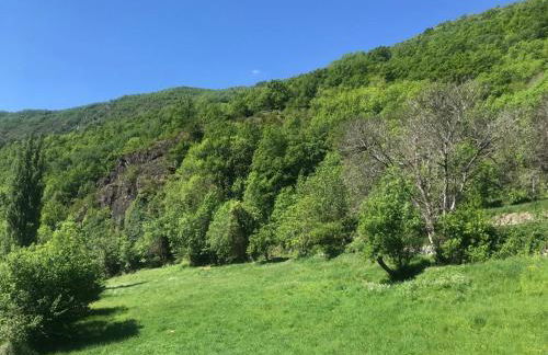 Apartamento Laera - Foto 14