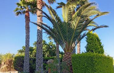 Villa Lagosta - Foto 6