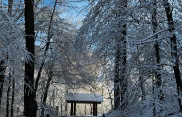 Ferienwohnung Feel Glueck - Foto 11