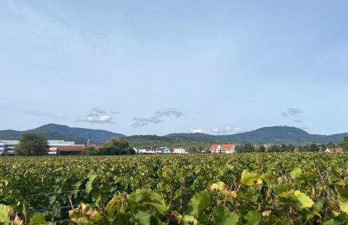 Oasis tout confort à Bergheim, Alsace - Foto 7