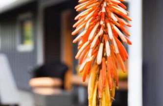 Casa de Forest- Hot tub and Pet Friendly! - Foto 19