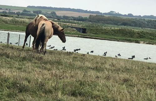 le gîte de Martine en Baie de Somme - Foto 67