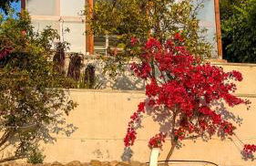 Villa Marina - Foto 36