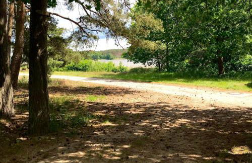 Finnhütte Seeblick an der Elbe - Foto 19