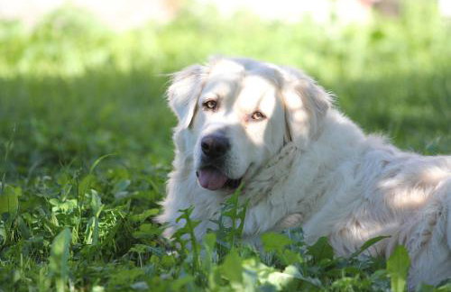 Agroturystyka Nasza Bajka - Foto 9