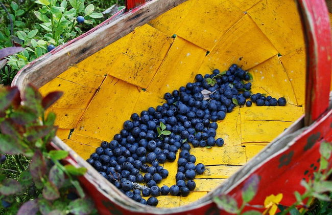 4 Star Holiday Home in Haverud - Foto 23