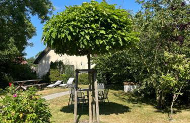 Fischerhus In Krummin - nur für Urlauber - Foto 54