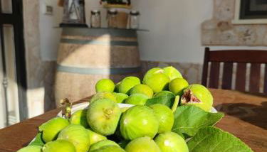 Villa Maria House - Foto 3