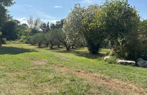 Gite dans ancien moulin - Foto 29