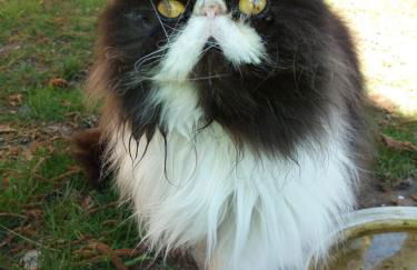 HummelCasa Ferienhaus Bayreuth - Foto 37