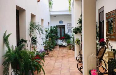 Casa Turística San Agustín - Foto 21