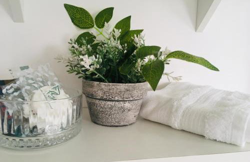 Espaço Zen - Equilíbrio da Alma - Foto 15