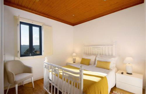 Quintinha de Pinouco - Foto 15