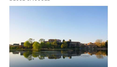 Villa Les palmiers en Provence - Logement cosy 4 pers - Foto 2