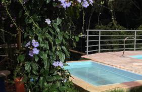 Chácara Recanto da Paz - Photo 75