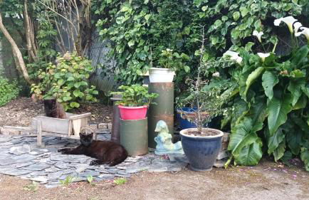 La Petite Ecole de la Baie - Foto 10