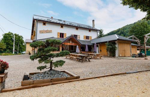 Gite de groupe - Les Carlines - Foto 21