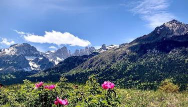 Residence Cima Tosa - Foto 4