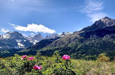 Residence Cima Tosa - Foto 4