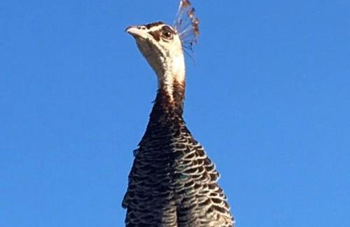 2bed Cabin w/ Parking Near Snowdonia National Park - Photo 15