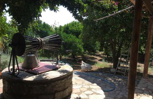 Vounaki Seaside Dreamland! - Foto 39