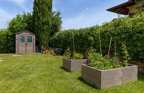 Dreamhill Meloni - Foto 24