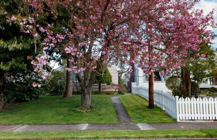 Hazel's Hideaway apt in walkable historic area - Foto 6