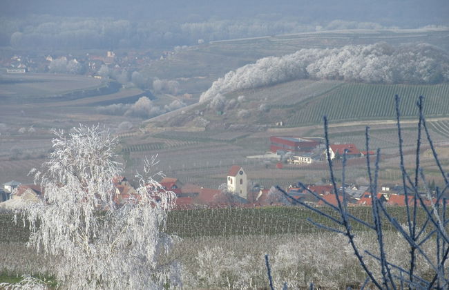Ferienwohnung in Bischoffingen - Foto 4