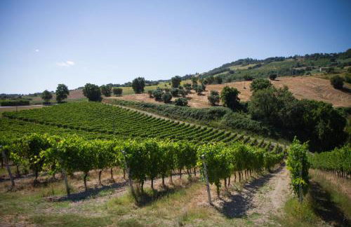 Italian Experience-Villa Zena - Foto 8