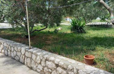 Apartmani Branka - Photo 31