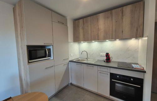 NEW ! Altitude 1327 Residence at the foot of the slopes - Foto 15