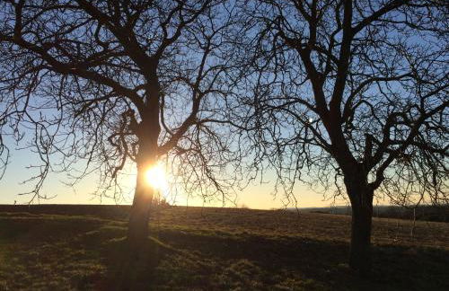 Ferienwohnung Kuckuck auf dem Sommerberg incl Schwarzwald Plus-Karte - 2 Zimmer 50qm - Foto 53