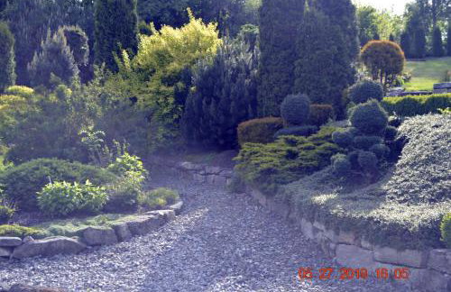 Zielony Zakątek Sosnówka - Foto 39