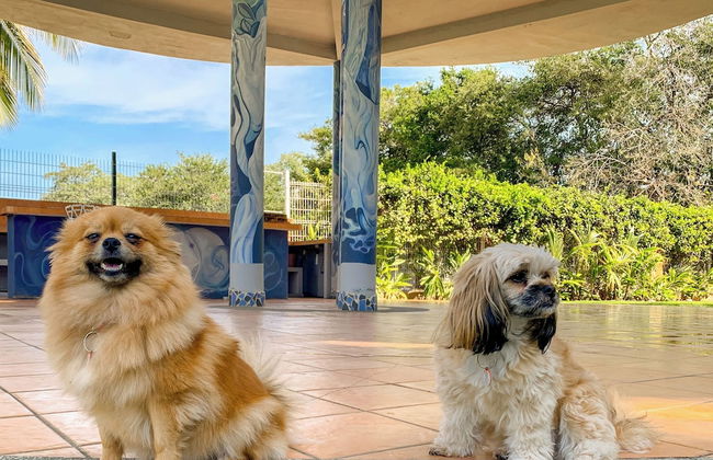 Puerto de Luna Pet Friendly & Family Suites Hotel - Photo 41