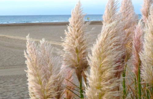 Lagon 173 - Maison de Vacances - 3 Chambres - Photo 18