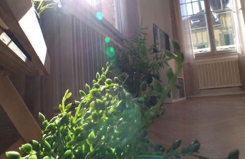 Au 36, Les Apparts Hotel Joigny - Foto 23