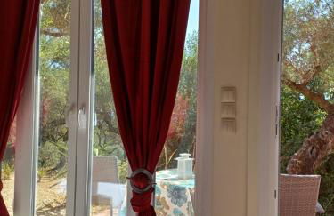 el paradiso - Foto 19