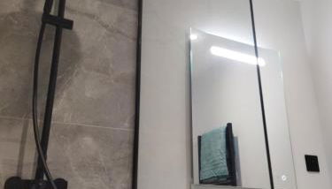 meublé du Plateau - Nancy centre Gare Tgv - Foto 5