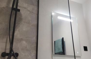 meublé du Plateau - Nancy centre Gare Tgv - Foto 5