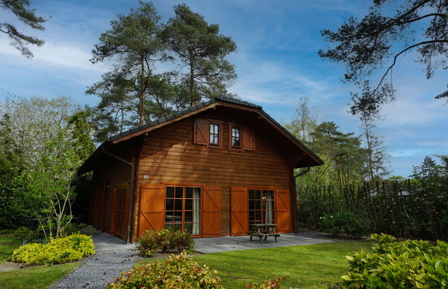 6 bedroom House in Lochem with swimming pool and terrace - Photo 1