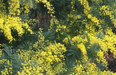 Lachanau Paradis - Photo 28