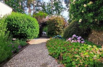 Waldidylle - Foto 19