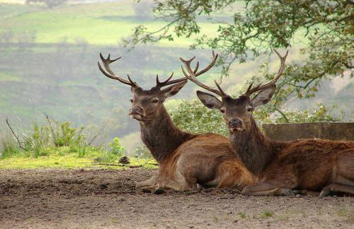 Ericeira Beach Trip Apartment - Foto 29