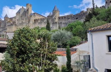 Entrez en lice, Face à la Cité vue sublime - Photo 11