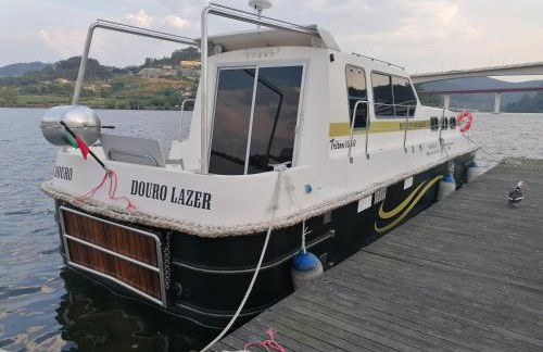 Douro Houseboats - Foto 14