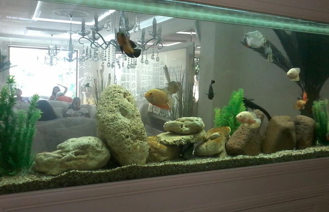 Harmony Suites Dream Island - Foto 53