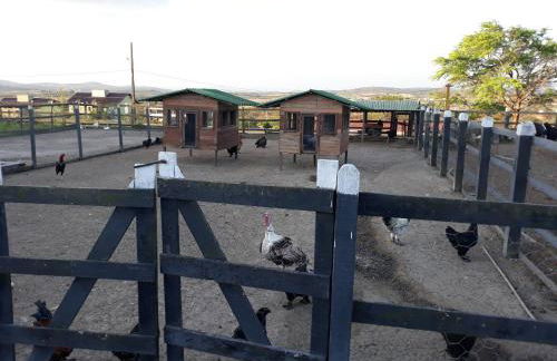 Flat Monte Castelo Gravatá Módulo 17 - Foto 31